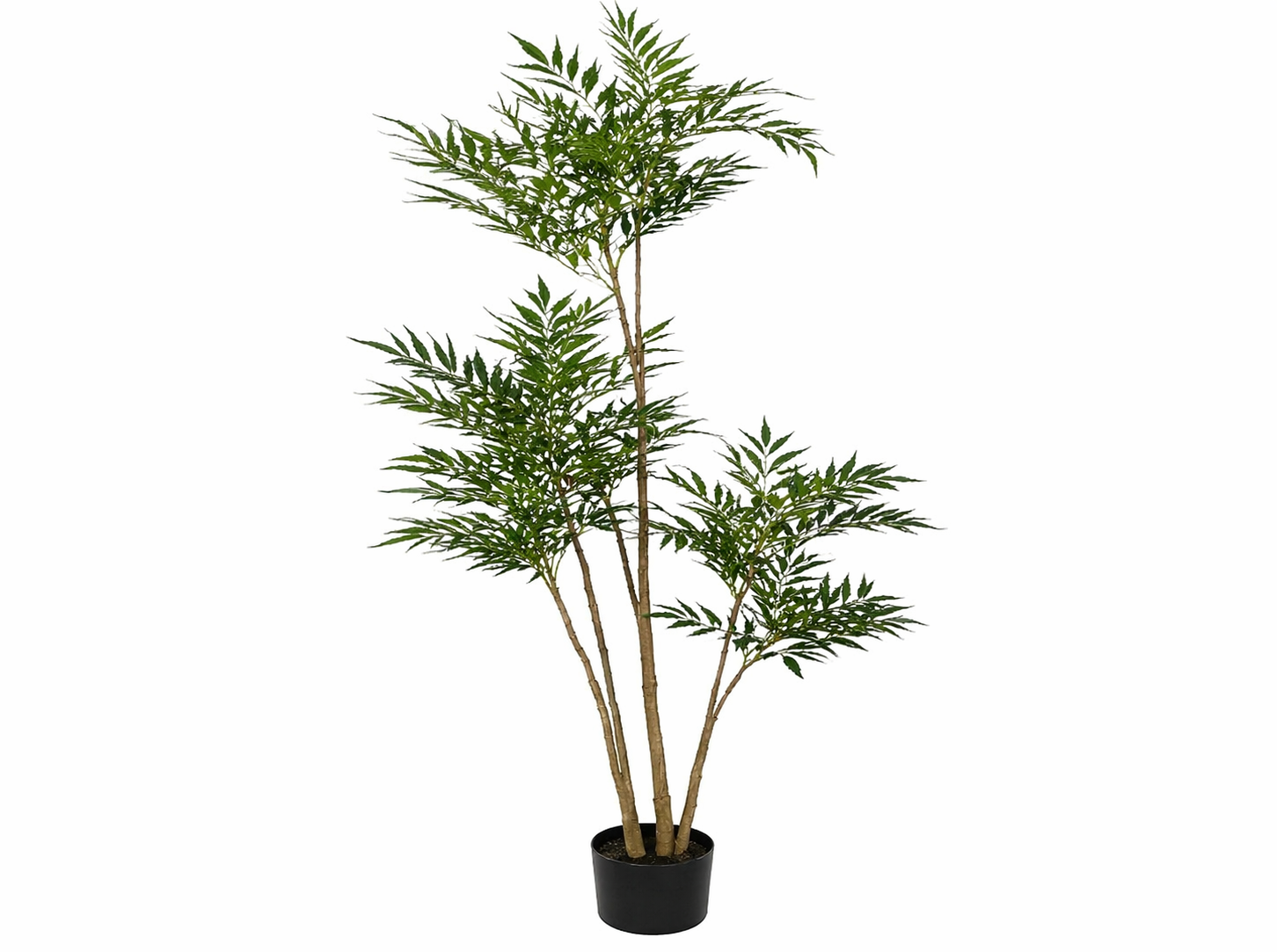 Artificial Fern Tree – Elegant Indoor Decorative Plant (2.1m)