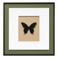 Noir Butterfly Wall Art – 50 × 50 cm. Item No: Ly -024