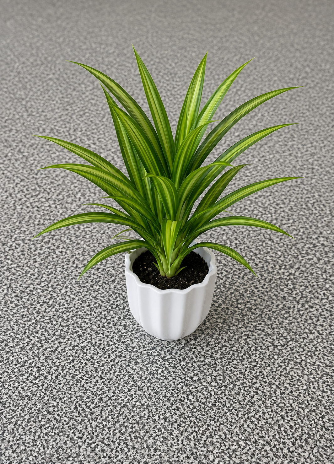 Artificial Green Striped Potted Plant – White Pot