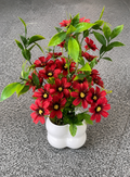 Artificial Red Daisy Floral Arrangement in White Pot