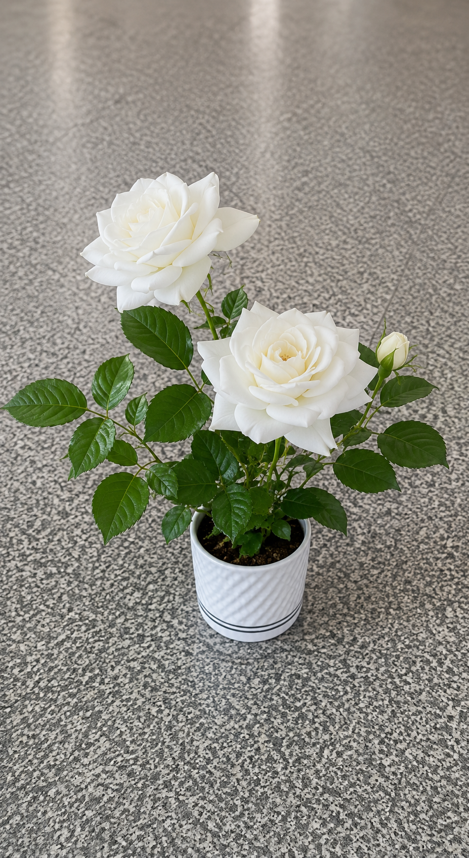 Artificial White Rose Arrangement – Potted
