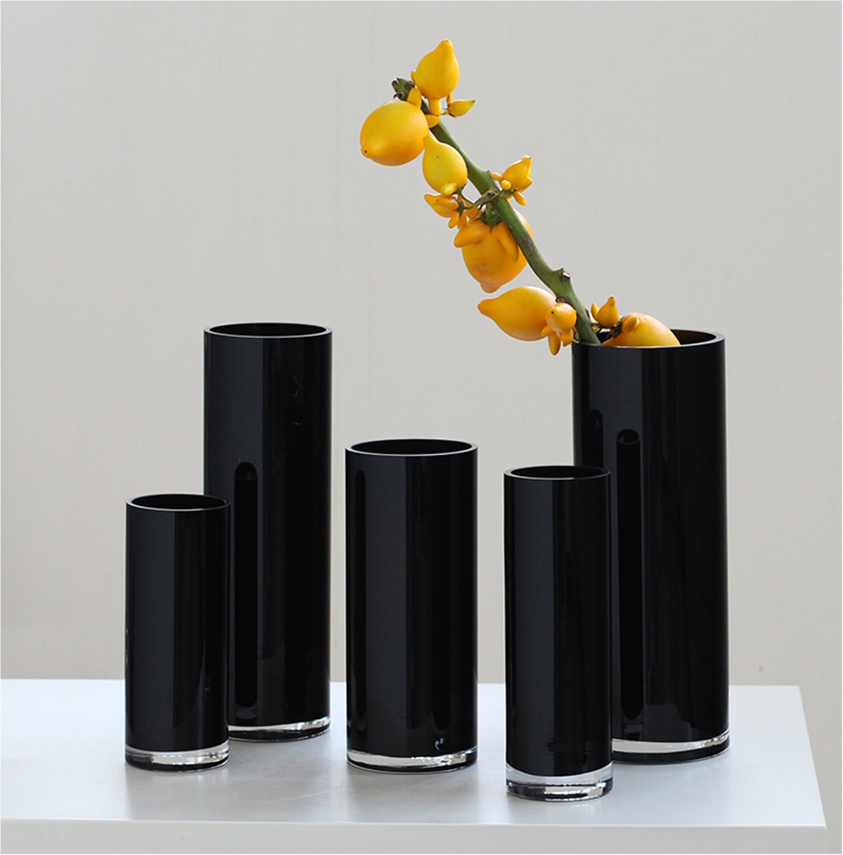 Black Cylinder Glass Vase – Modern Minimalist. (10-25cm)