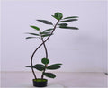 Artificial Rubber Plant – Twisted Stem Minimalist Design (1.4m)