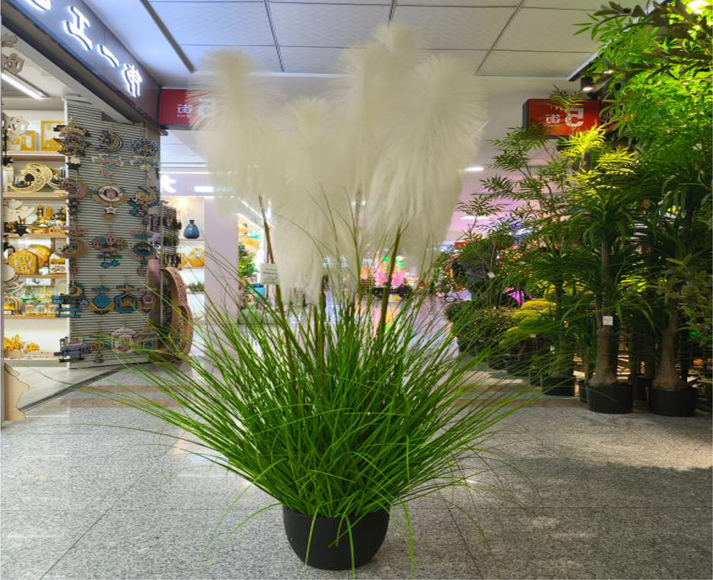 Artificial Pampas Grass Plant – Luxury Indoor Décor (1.8m)