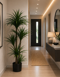 Artificial Palm Tree – Modern Indoor Statement Plant (1.8m) item No: ZH7629