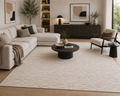 Modern Textured Neutral Area Rug – 195 x 300cm. ITEM NO: TF-012